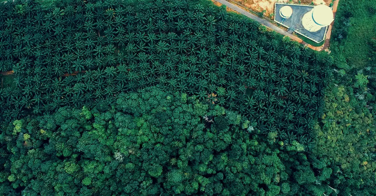 Beter klimaat: tips voor een duurzamere leefomgeving