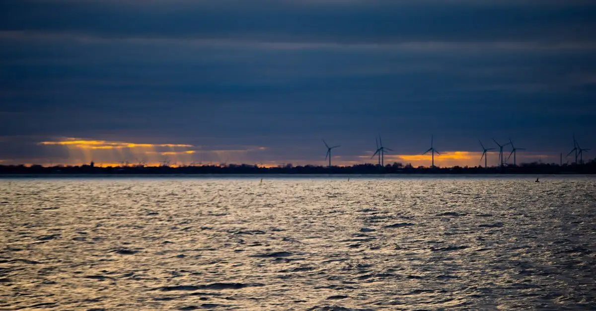 Bonaire klimaatverandering: oorzaken, gevolgen en