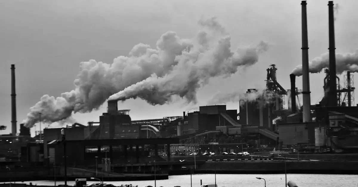 Clintel klimaat: feiten en inzichten over het Nederlandse