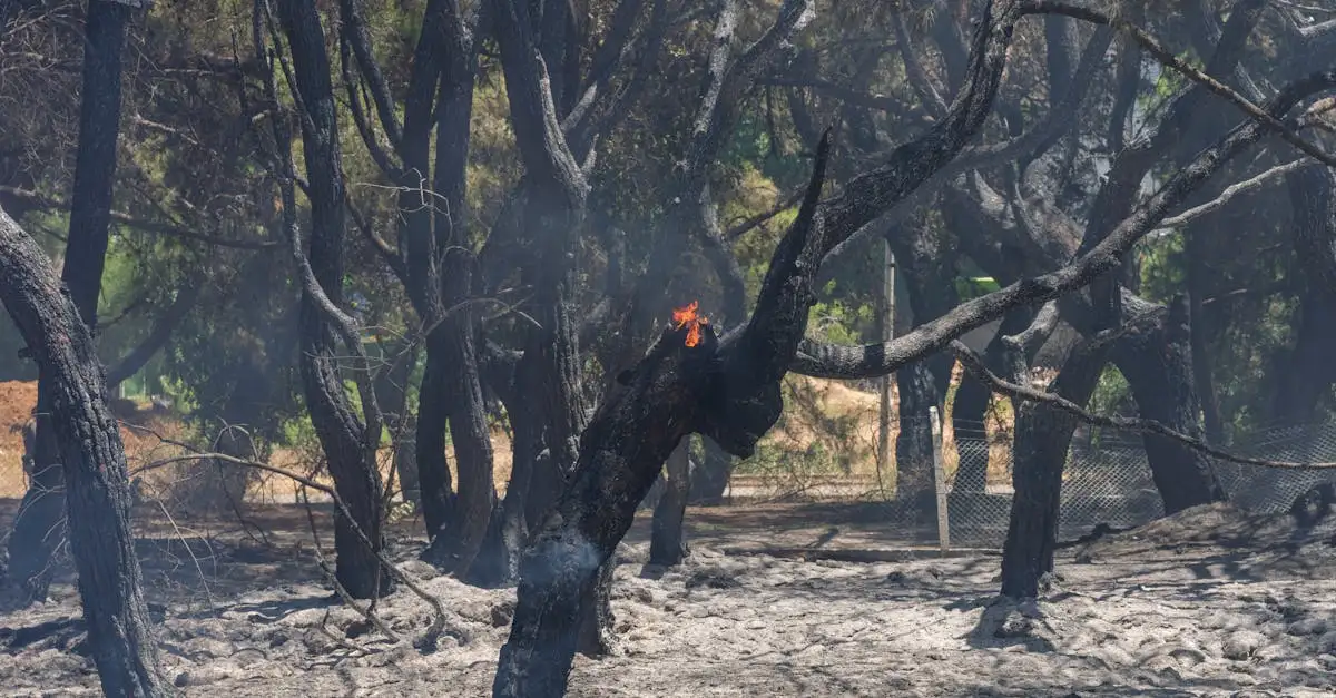 Co2 en klimaat: wat zijn de gevolgen en oplossingen