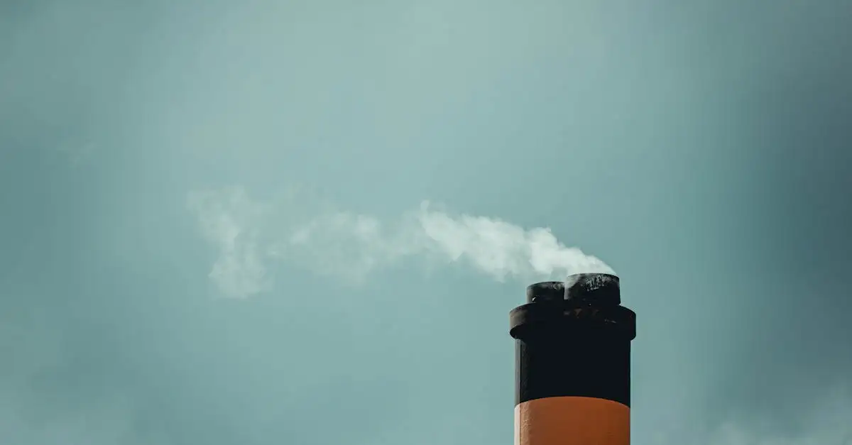 D66 klimaatbeleid: duurzame oplossingen voor Nederland