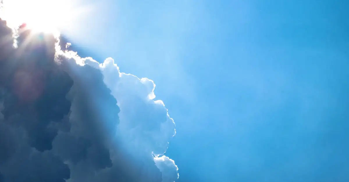 Klimaat Canarische Eilanden: Het hele jaar zon
