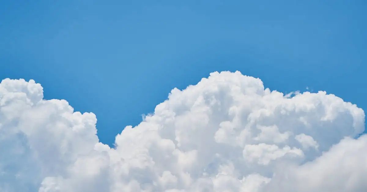 Klimaat Canarische Eilanden: Het hele jaar zon
