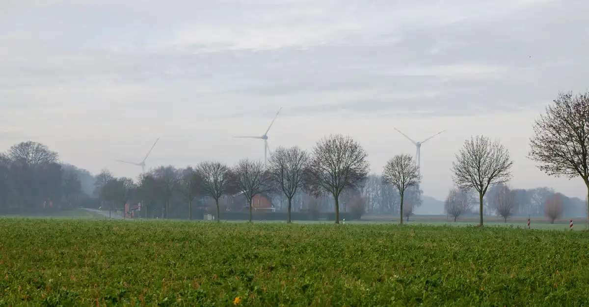 Klimaat en milieu: alles over duurzaamheid en aarde