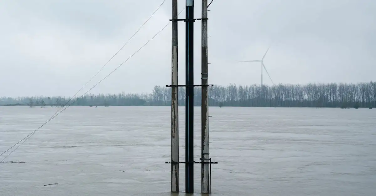 Klimaat organisaties: Ontdek de belangrijkste initiatieven
