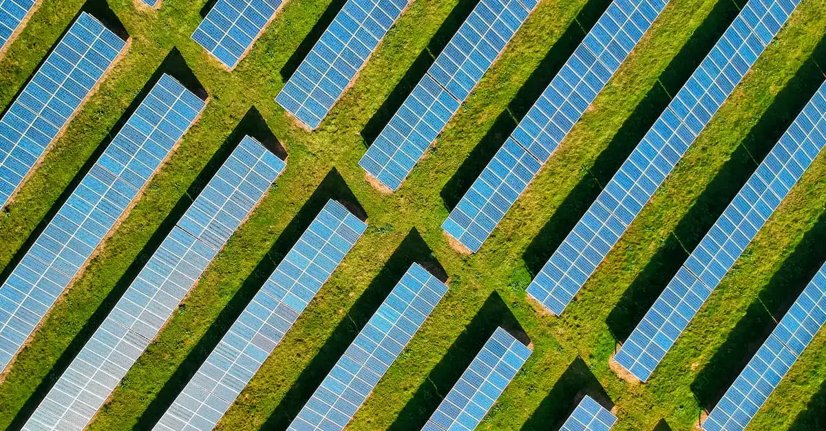 Klimaatverandering: oorzaken, gevolgen en oplossingen nu