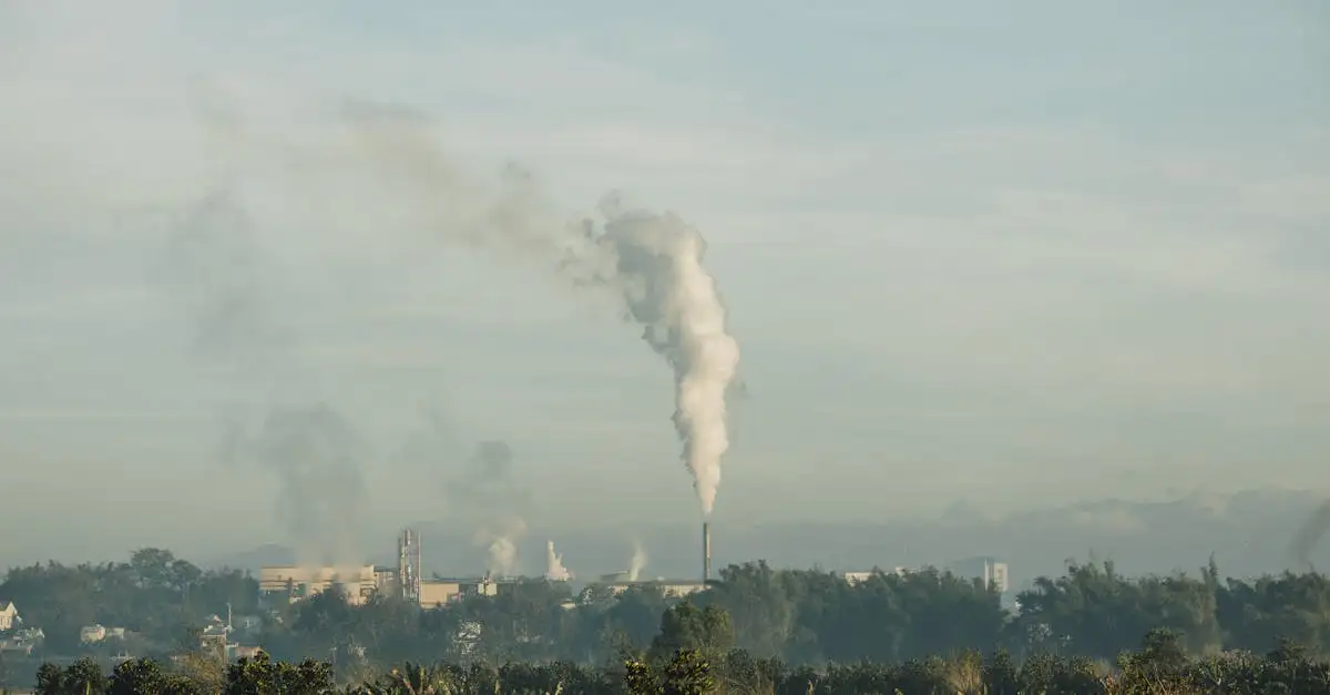 Oorzaak klimaatverandering: wat drijft de opwarming van de