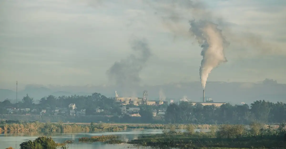 Oorzaak klimaatverandering: wat drijft de opwarming van de