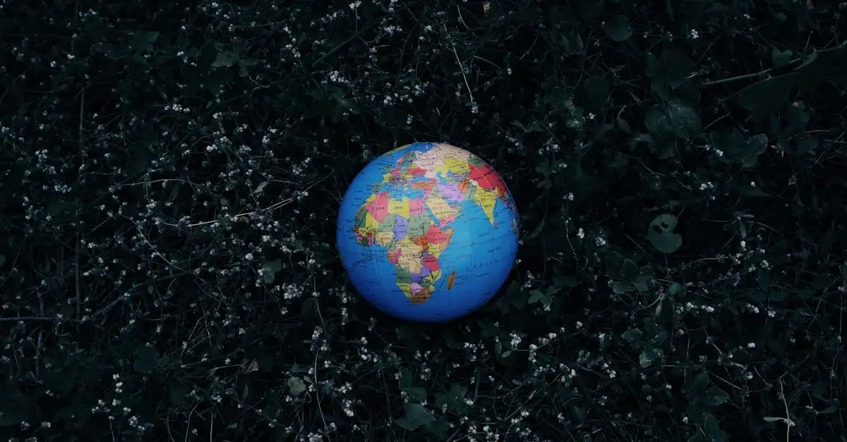 WWF klimaatactie: Bescherm onze planeet nu