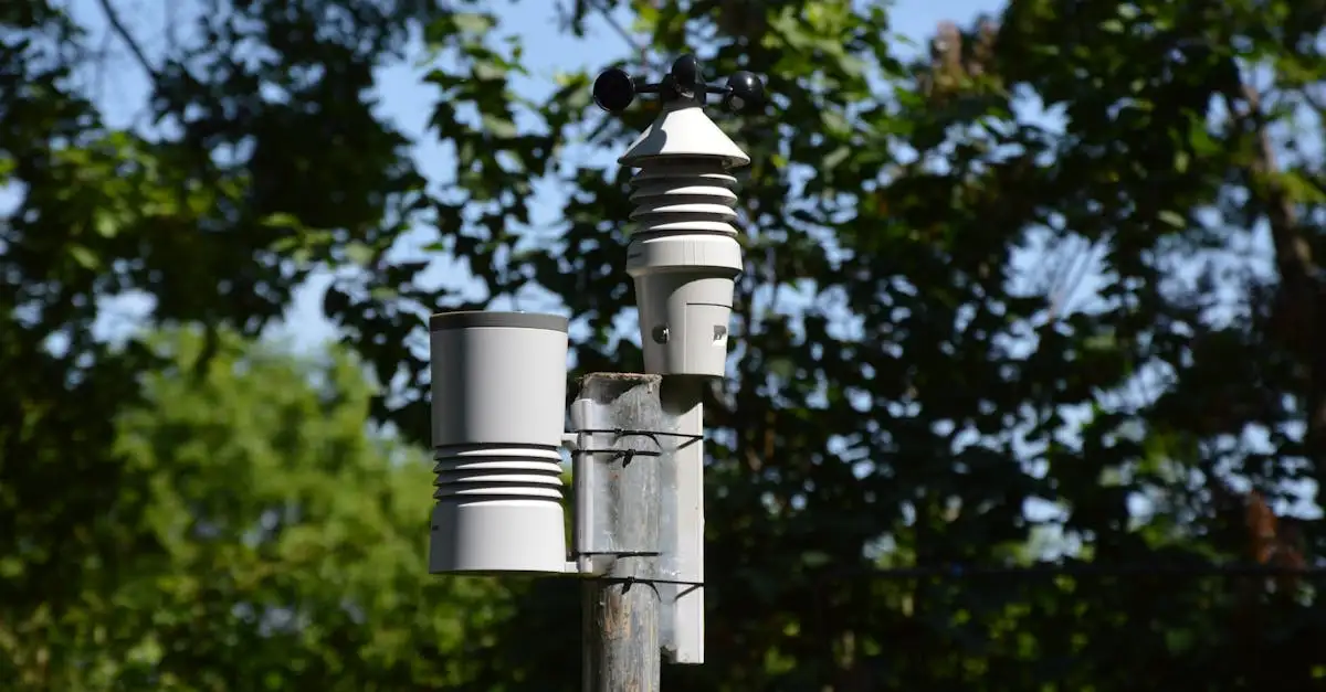 Klimaat en weer: actuele informatie en voorspellingen