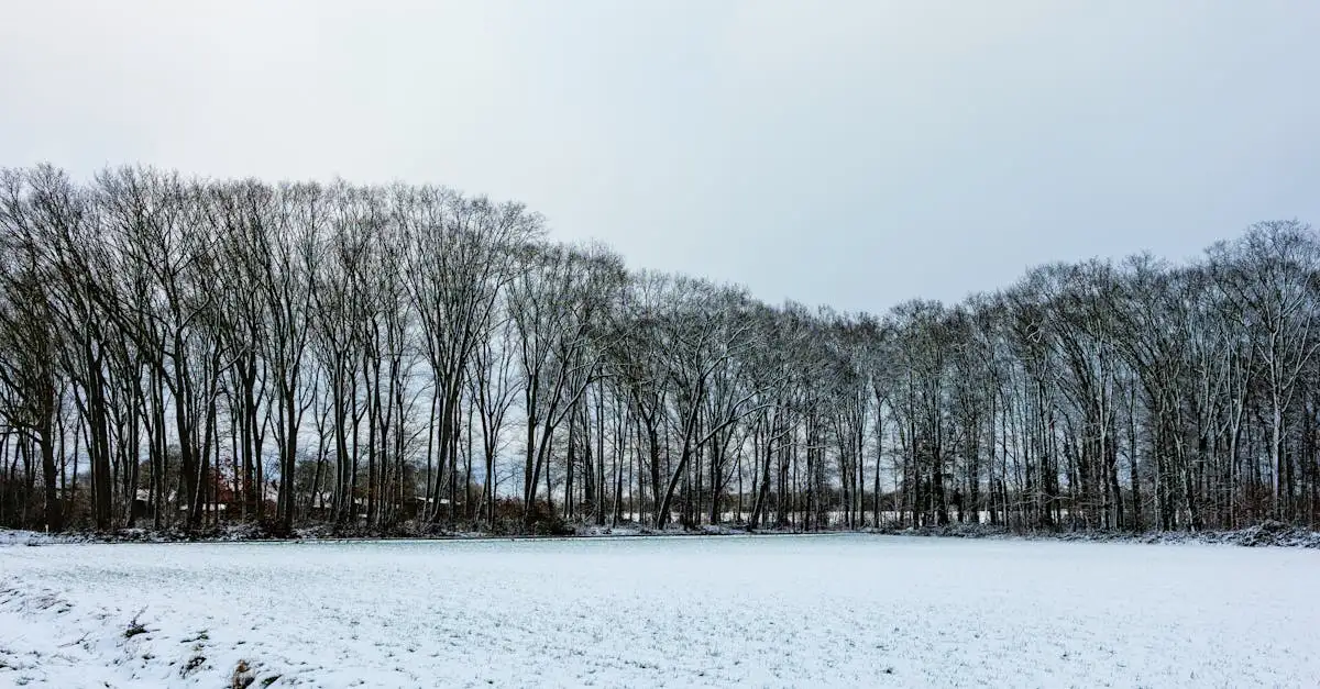 Klimaat Sauerland: Weer en beste reistijd ontdekken