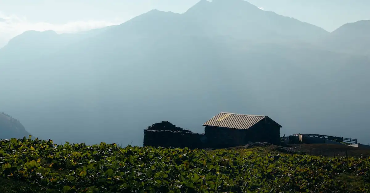 Klimaat Sierra Nevada: Weer en beste reistijd ontdekken
