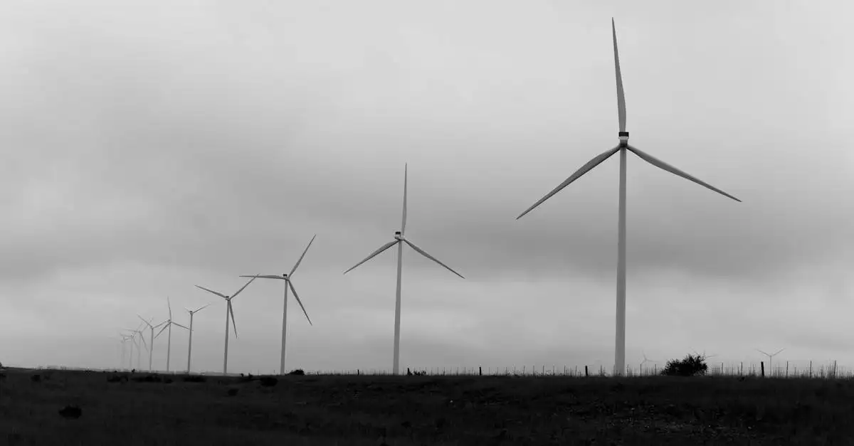 Klimaat toekomst: duurzame oplossingen en vooruitzichten