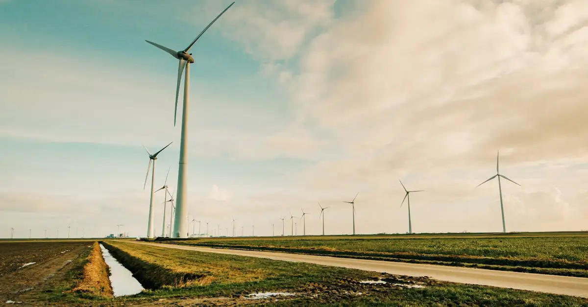 Klimaatverandering en de rol van experts in Nederland