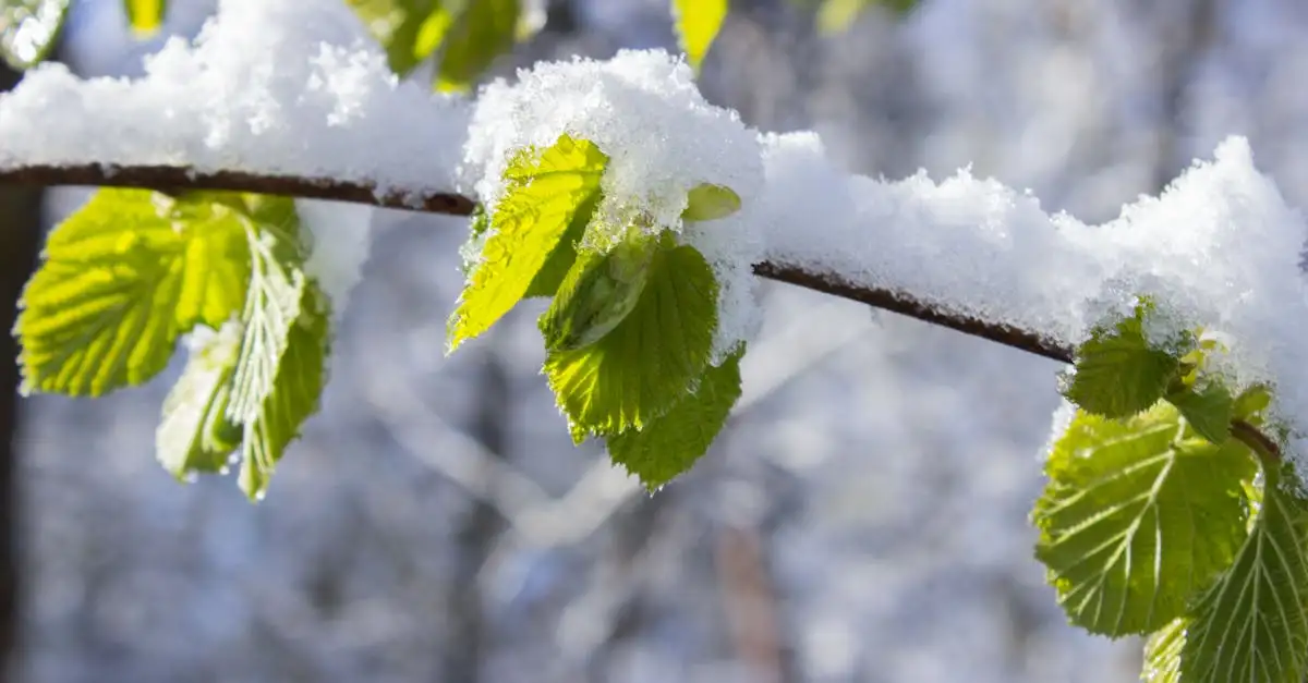 Klimaatverandering en het weer: wat is de impact?