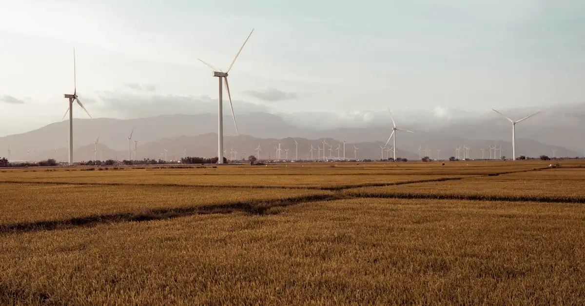 Klimaatverandering: het laatste nieuws en duiding van de NOS