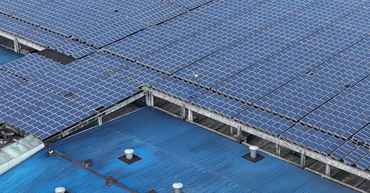 Klimaatverandering: oorzaken, gevolgen en oplossingen