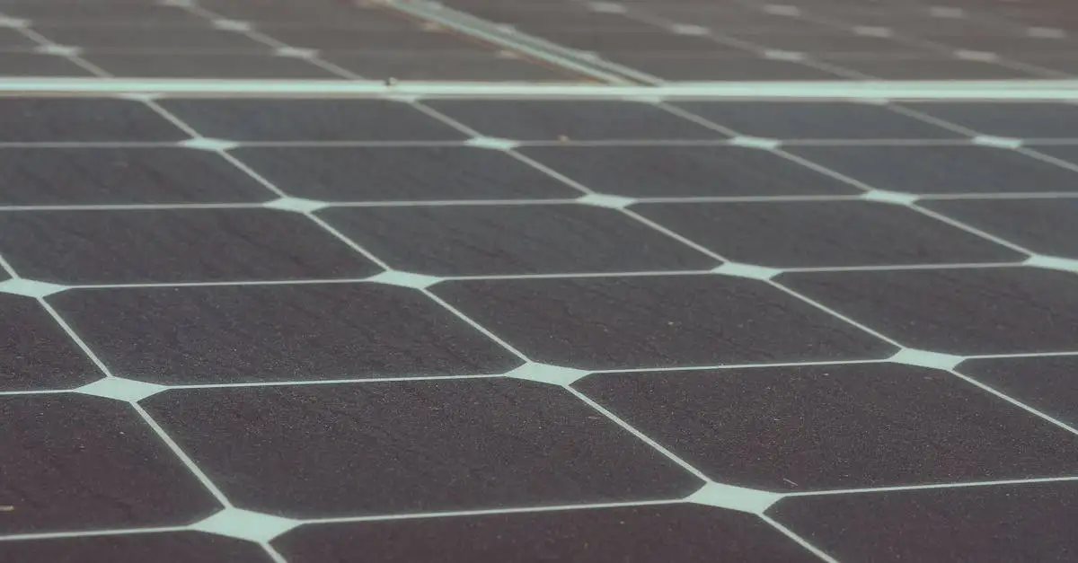KNMI klimaatverandering: oorzaken, gevolgen en oplossingen