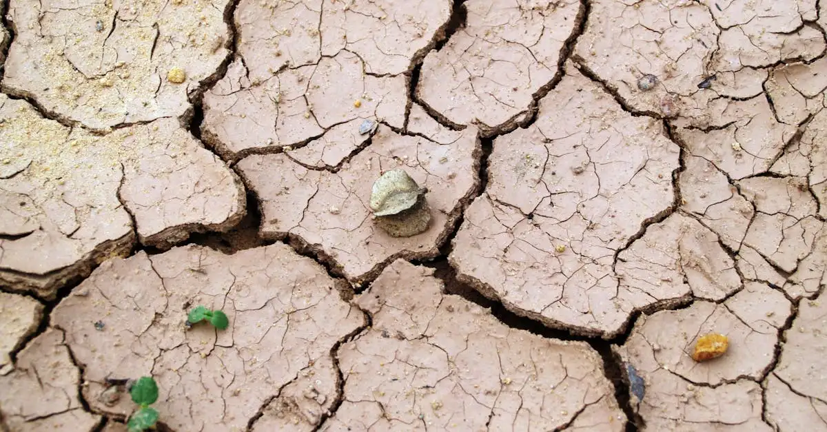 Massa klimaat: wat is het en hoe beïnvloedt het de aarde?