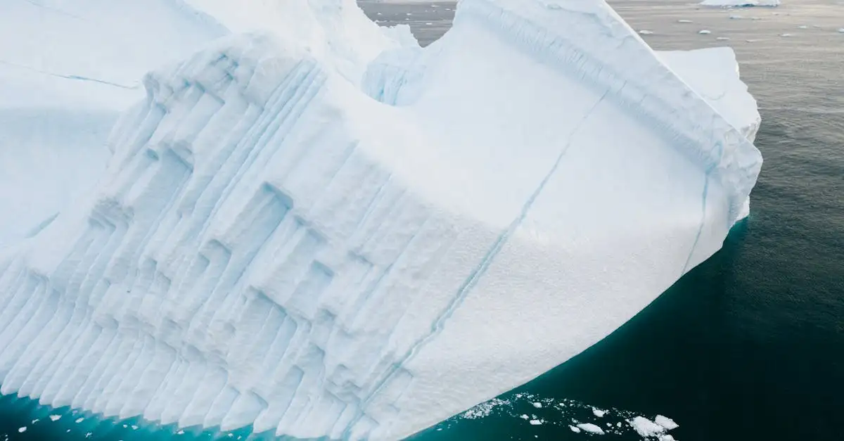Natuur en klimaat: Ontdek de laatste ontwikkelingen