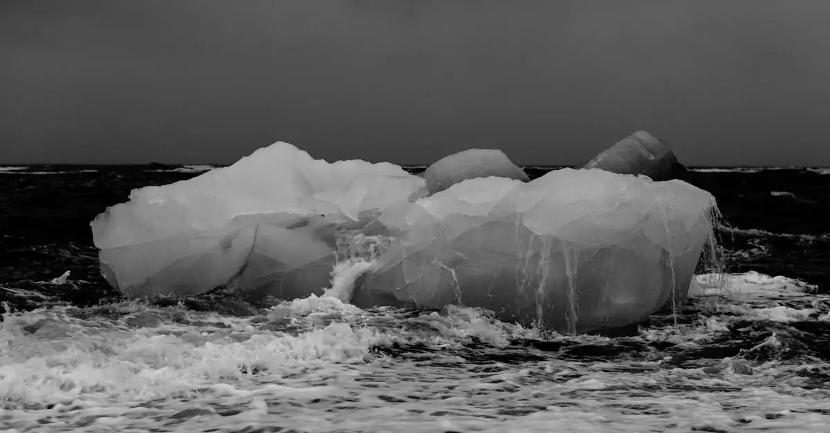 Noordpool klimaatverandering: gevolgen en oorzaken