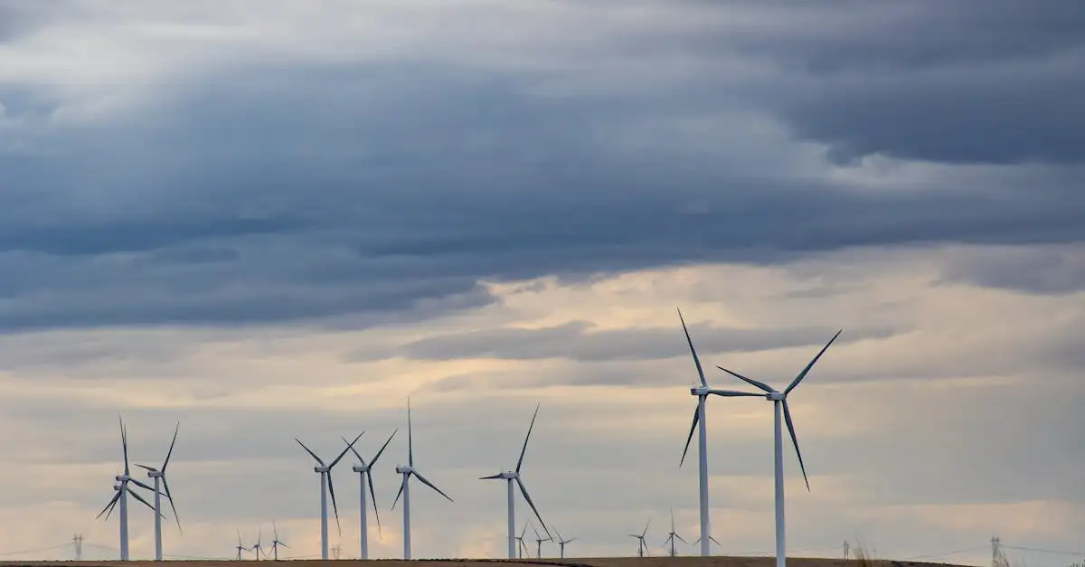NPO klimaat: alles over het klimaat en duurzaamheid