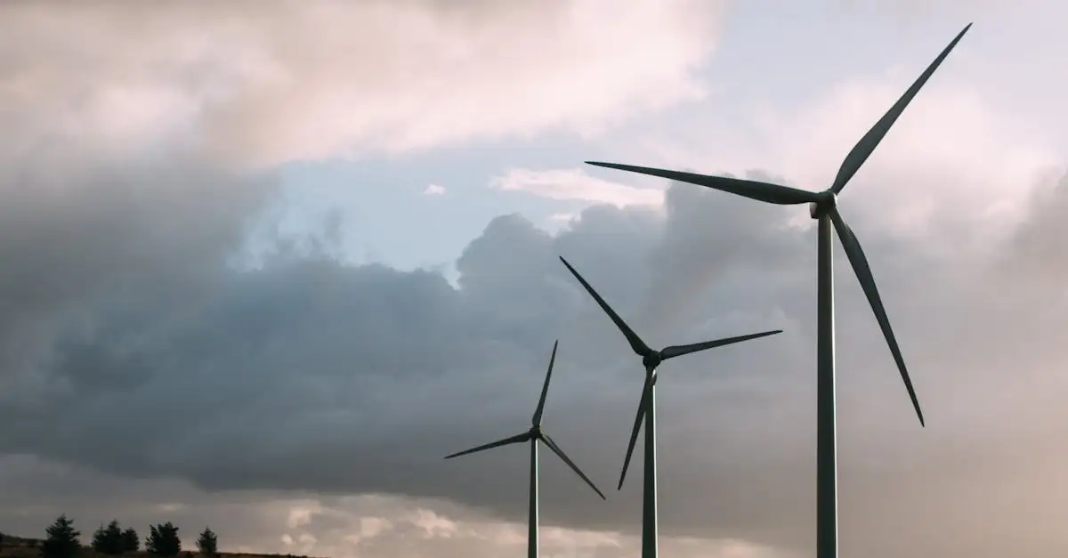 NPO klimaat: alles over het klimaat en duurzaamheid