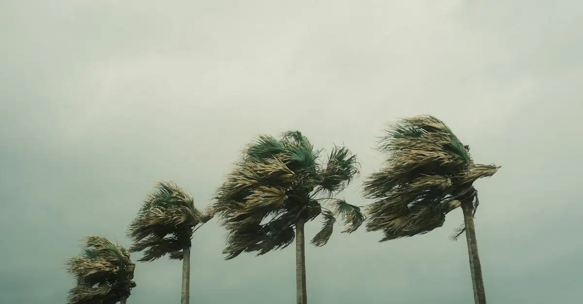 Schooltv klimaat: leer over het weer en klimaat