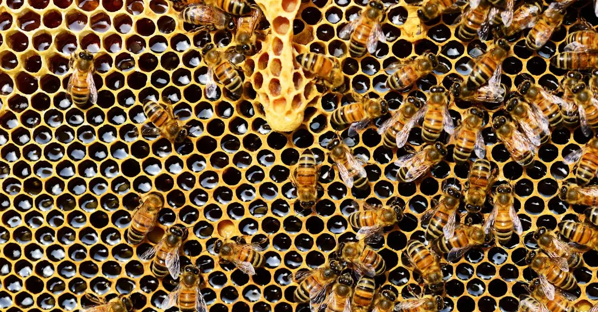 Schoon klimaat: tips voor een gezonde leefomgeving