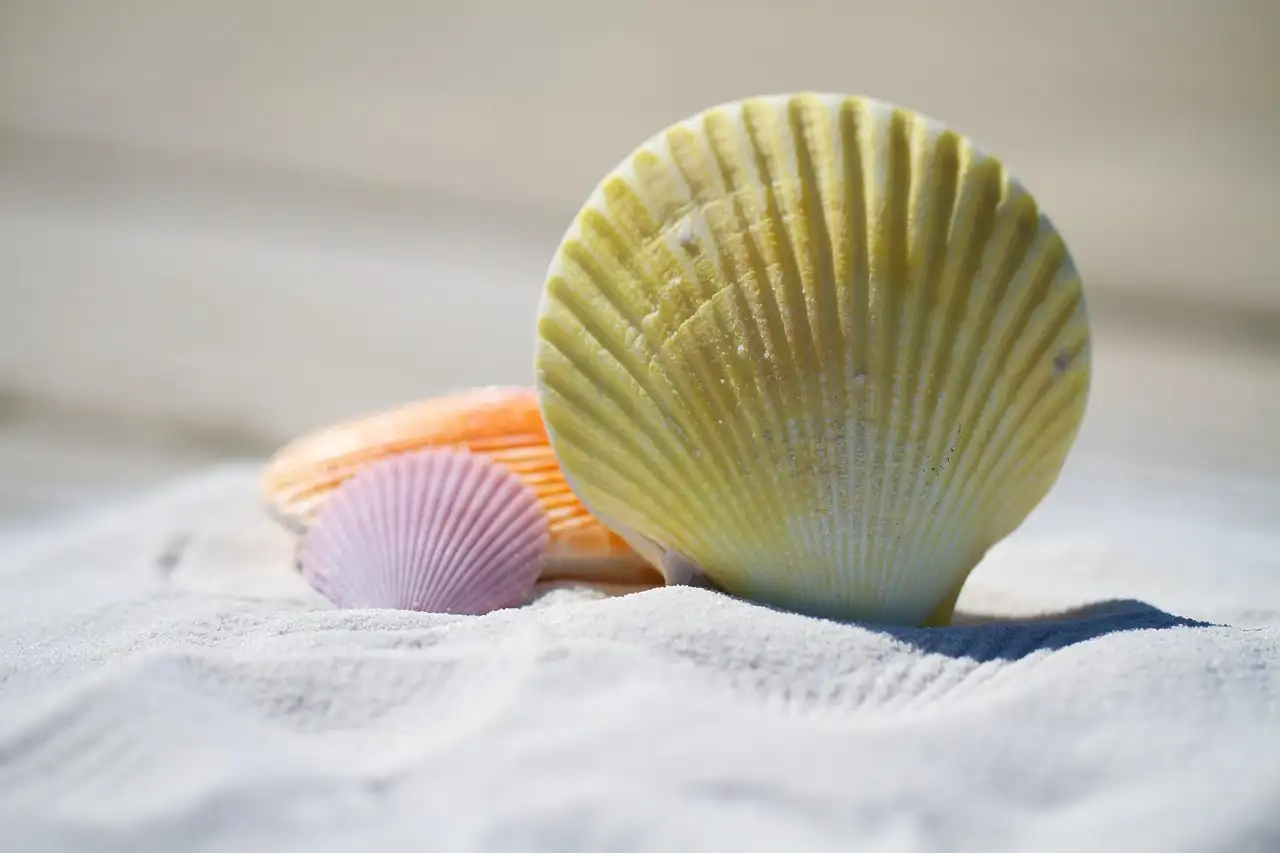 Shell en klimaatverandering: de feiten op een rij