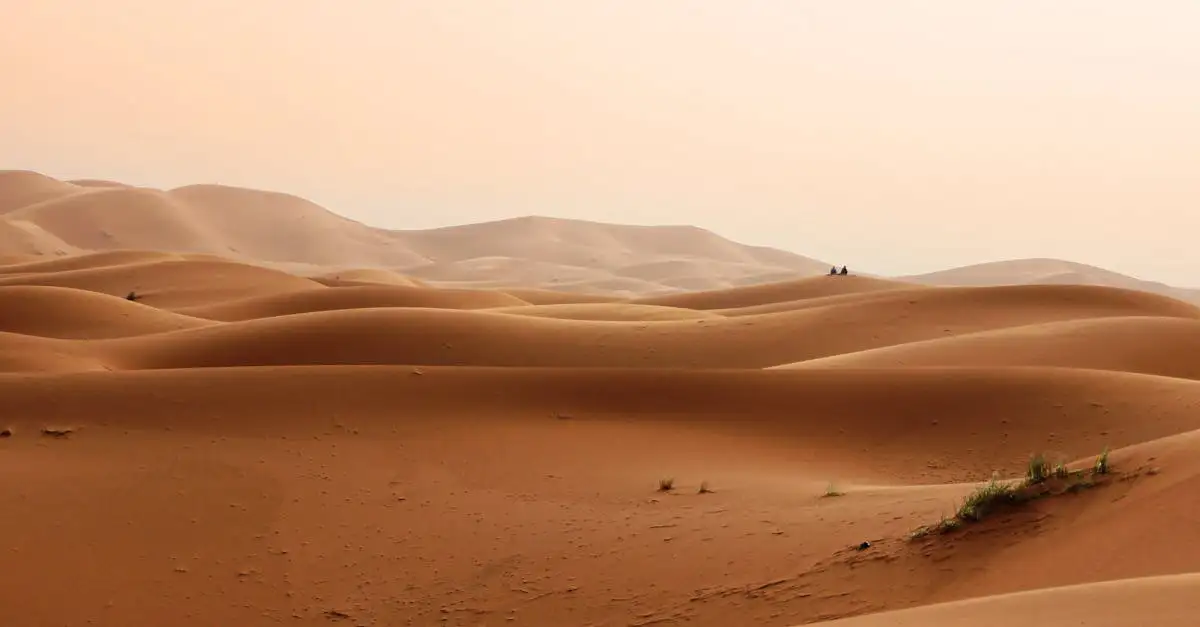 VVD klimaatbeleid: standpunten en plannen voor duurzaamheid