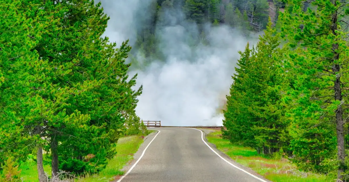 Yellowstone klimaat: Weer, seizoenen en beste reistijd