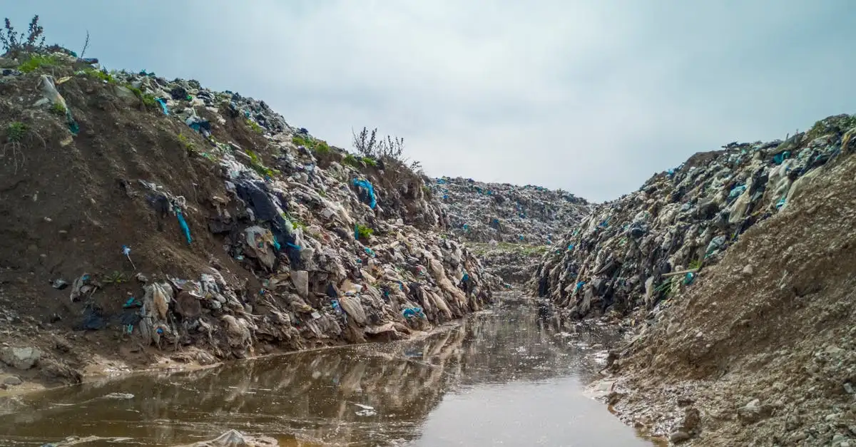 De klimaatcrisis: oorzaken, gevolgen en oplossingen