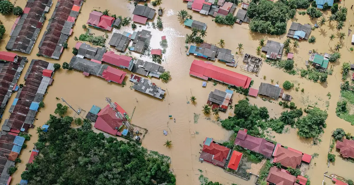 Enquête klimaatverandering: Deel uw mening en inzichten