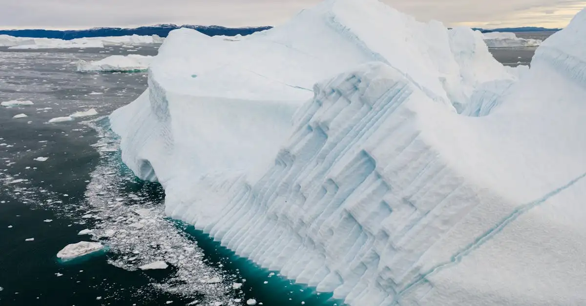 Gevolgen opwarming aarde: wat zijn de effecten nu?