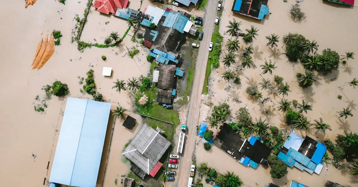 Gevolgen van de opwarming van de aarde: impact en risico's