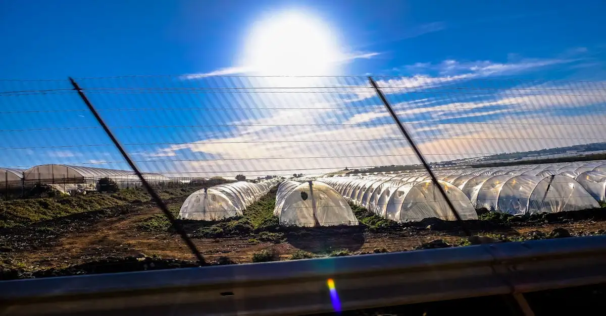 Gevolgen van het broeikaseffect voor klimaat en milieu