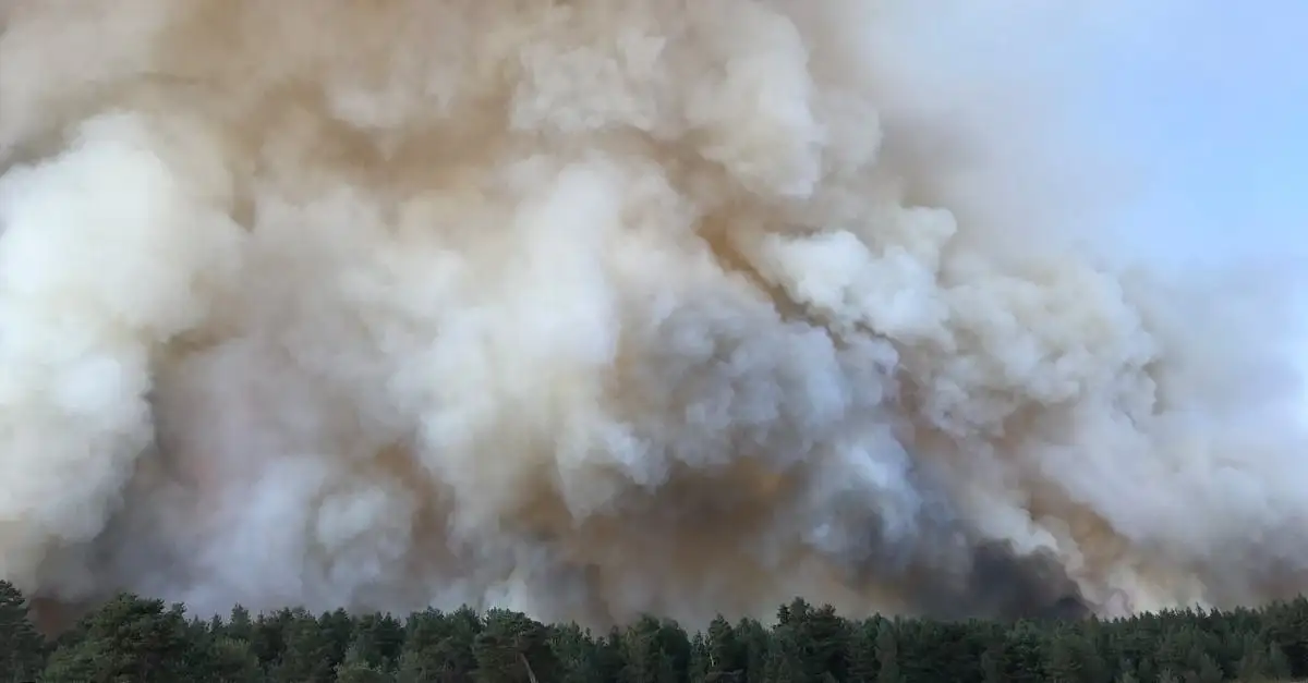 Gevolgen van opwarming aarde: wat zijn de effecten?