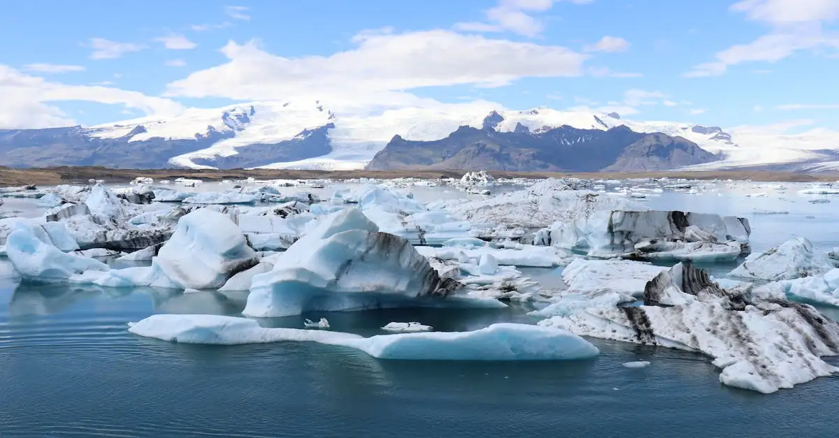 Het klimaatprobleem: oorzaken, gevolgen en oplossingen