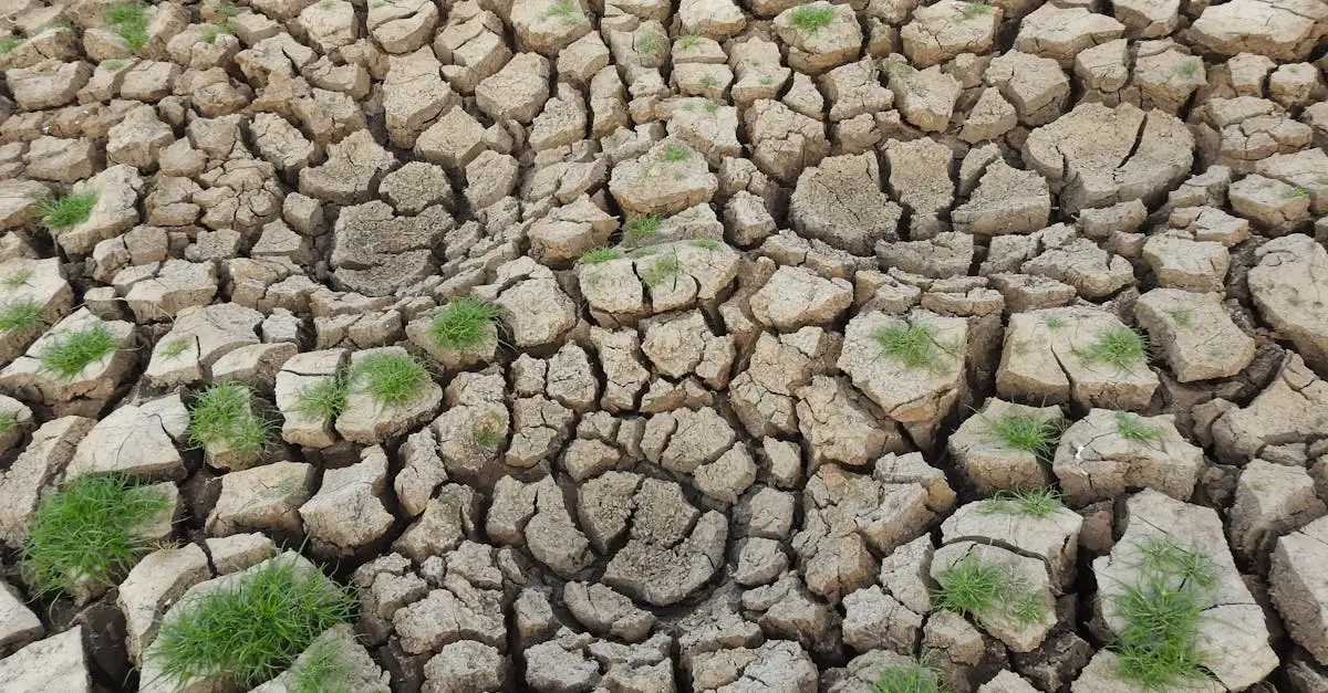 Klimaatverandering: de impact op de mens en de aarde