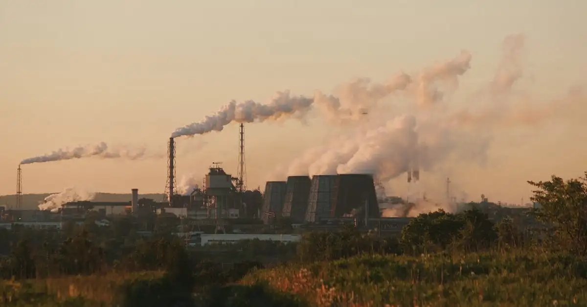 Klimaatverandering en de impact op de natuur