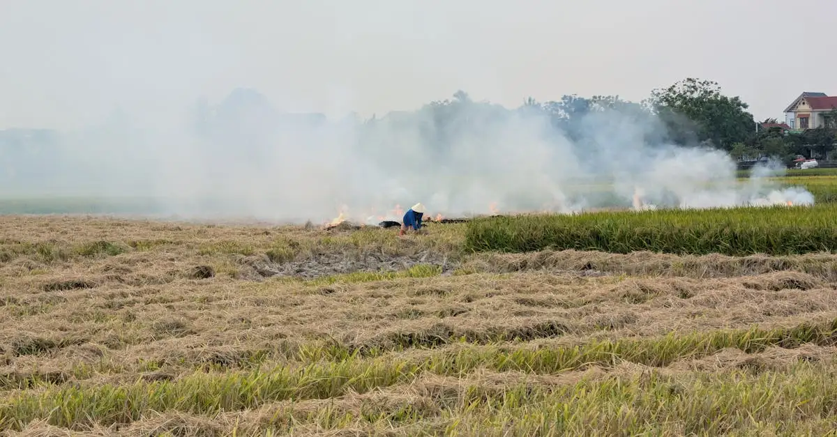 Klimaatverandering en de impact op de Nederlandse landbouw