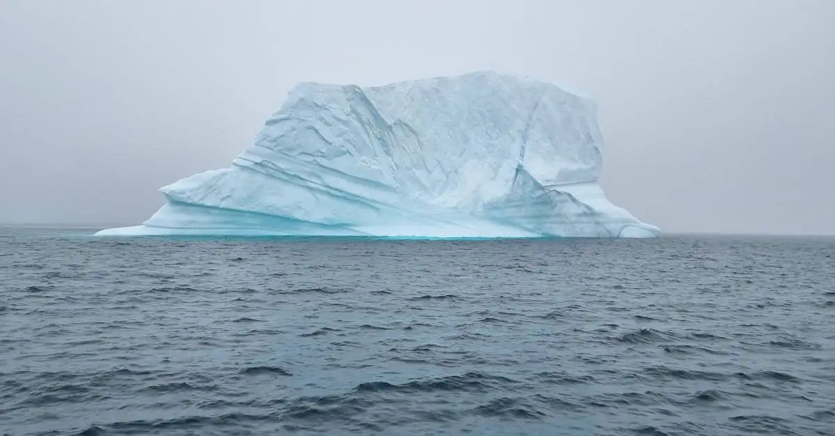 Klimaatverandering op de Noordpool: oorzaken en gevolgen