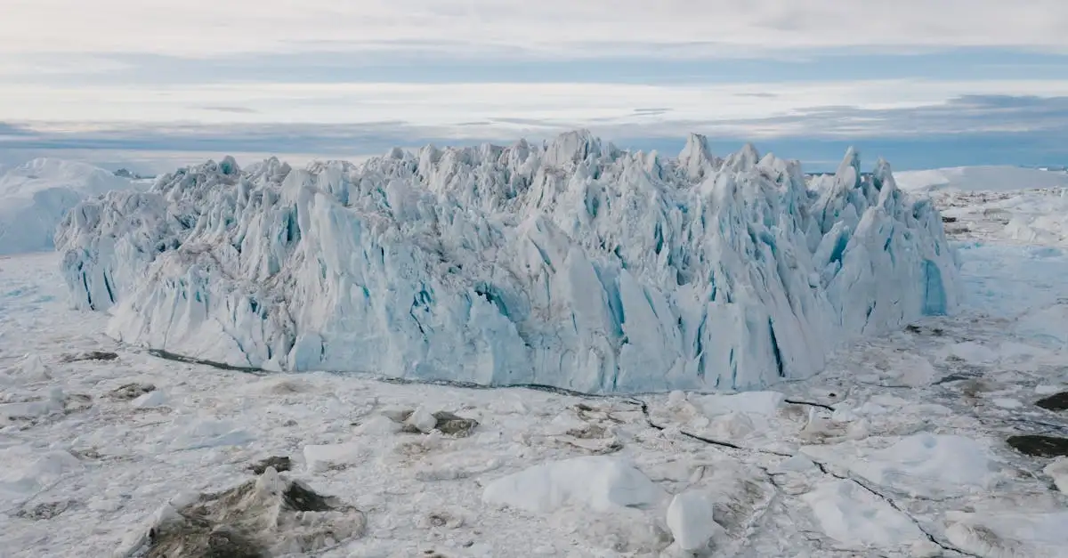 Oorzaken klimaatcrisis: wat drijft de opwarming van de