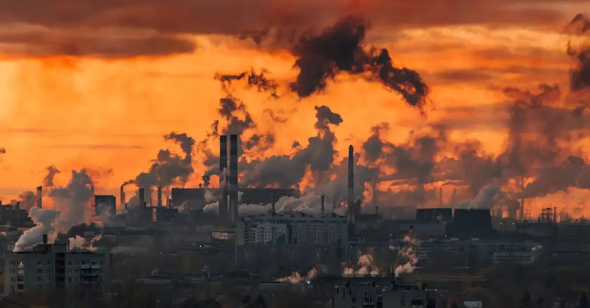 Oorzaken van CO2 uitstoot: wat drijft de uitstoot?