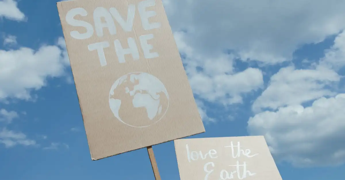 Oorzaken van klimaatverandering: wat drijft de opwarming?