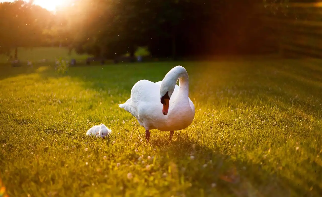 Voorbeelden van klimaatverandering: feiten en gevolgen