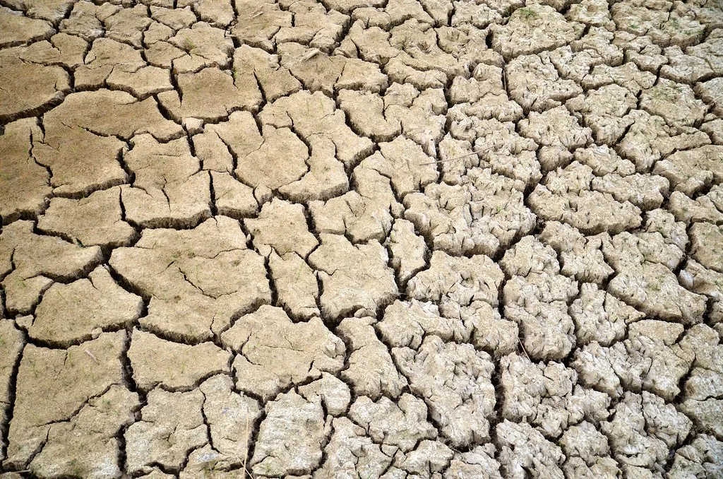 Uitgedroogde, gebarsten landbouwgrond in Nederland tijdens droog voorjaar 2026
